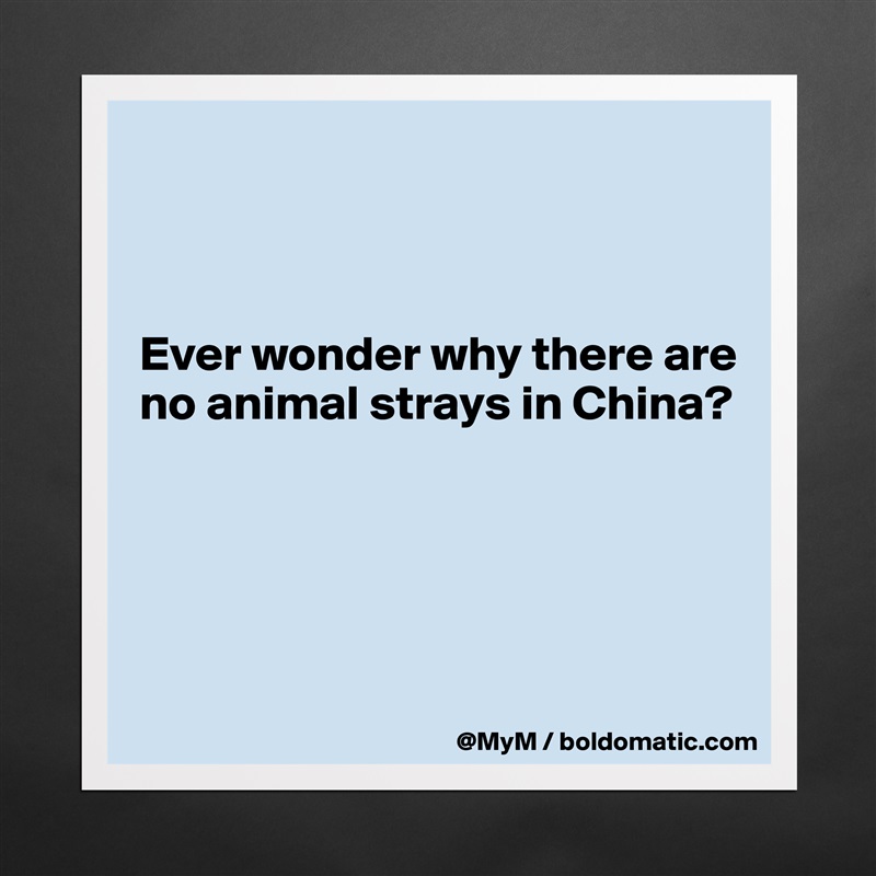 



Ever wonder why there are no animal strays in China?




 Matte White Poster Print Statement Custom 