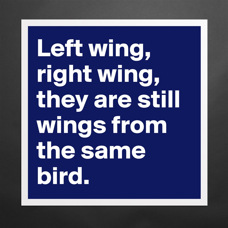 Left wing, right wing, they are still wings from the same bird. Matte White Poster Print Statement Custom 