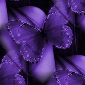 Purpleangel21 on Boldomatic - 