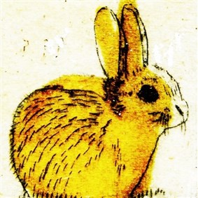 lapin on Boldomatic - I'm a rabbit.